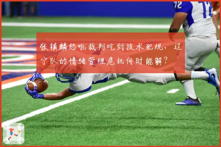 张镇麟怒吼裁判吃到技术犯规，辽宁队的情绪管理危机何时能解？